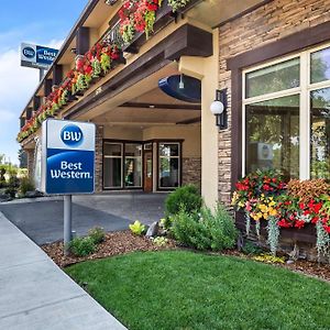 Best Western Driftwood Inn